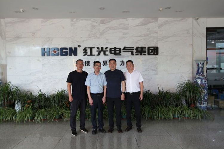 乐清市市场监视局刘勇局长一行莅临恒峰g22电气集团调研